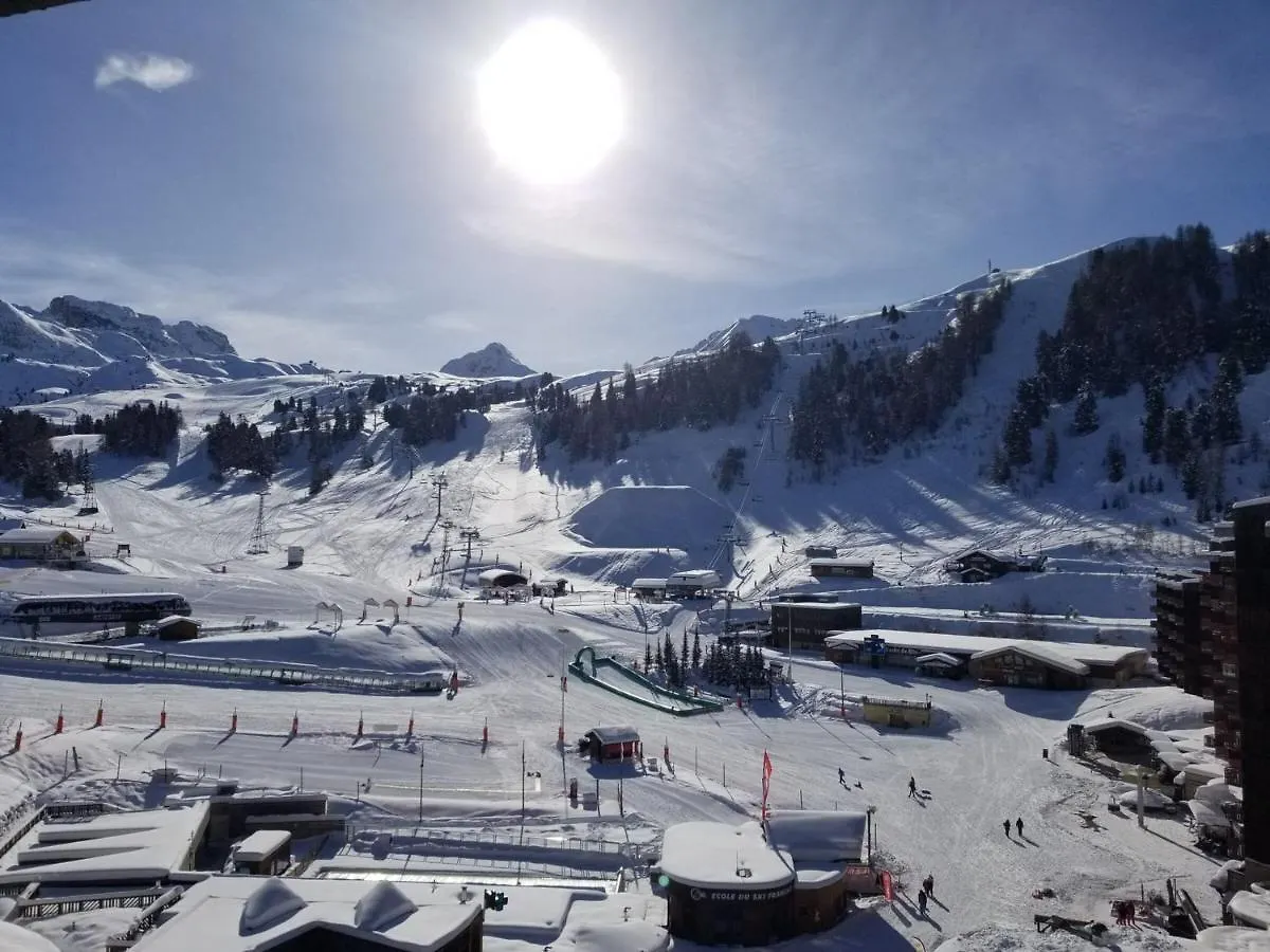 Appartement Renove Chaleureux, Pres Des Pistes, 5 Pers, Animaux Admis - Fr-1-181-952 La Plagne Apartment